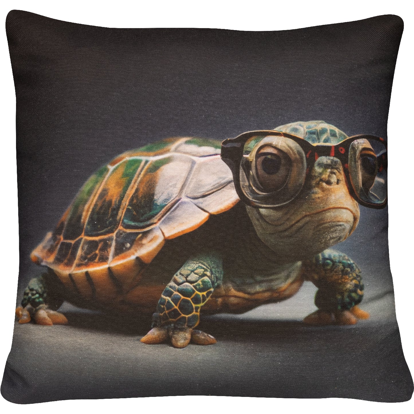 Kissenhülle Grumpy Turtle