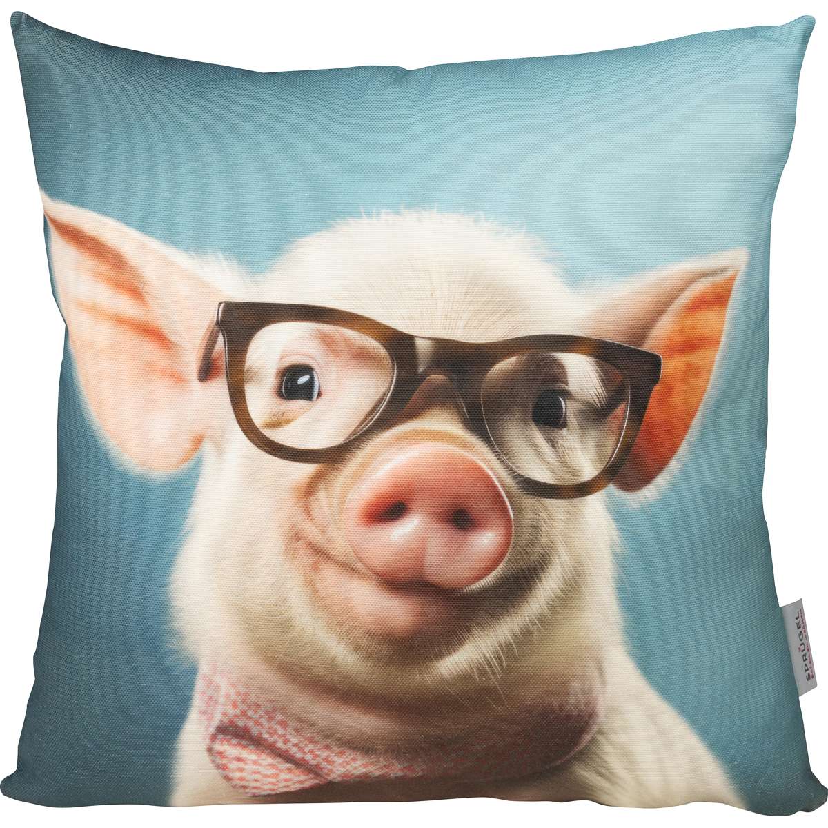 Kissenhülle Smart Pig