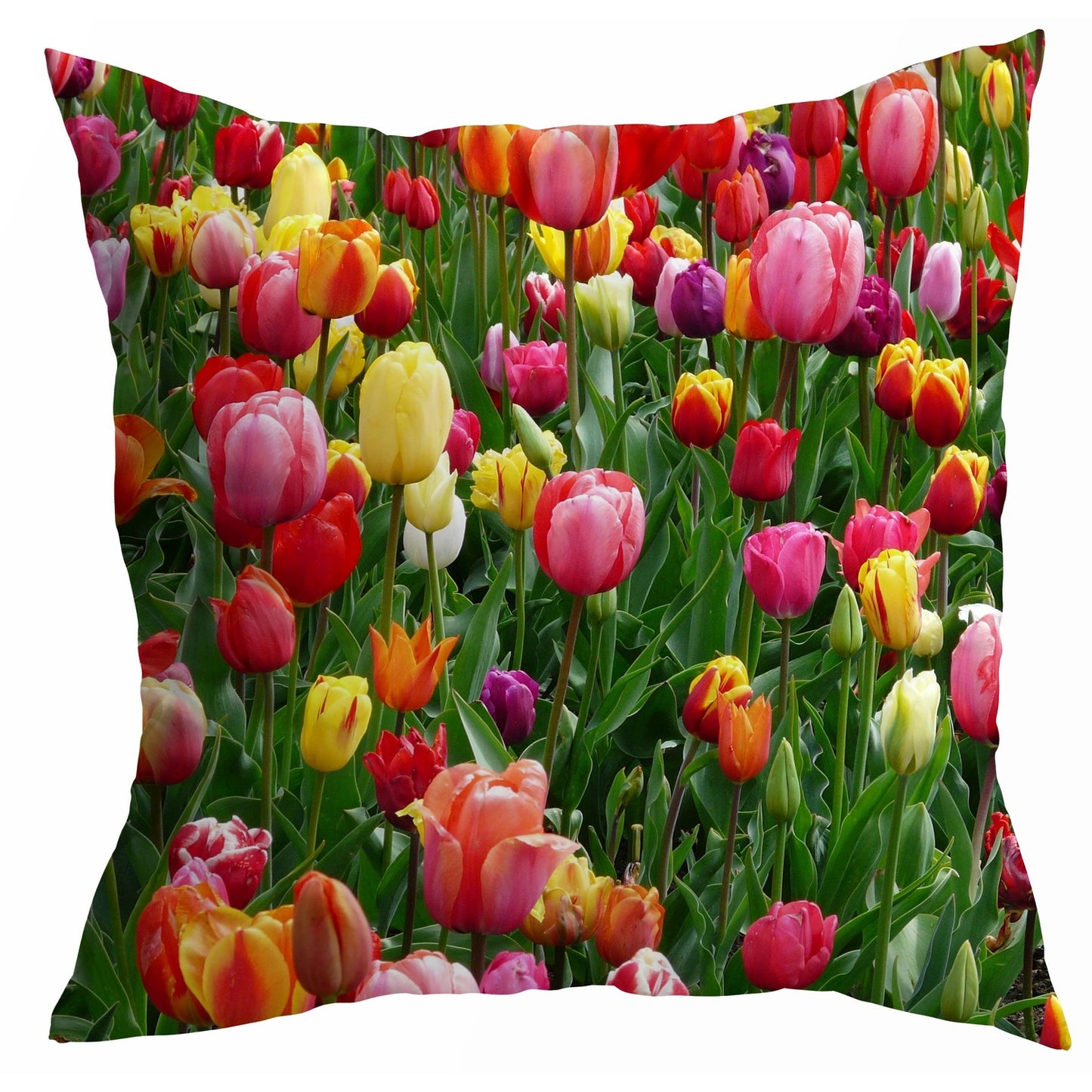 Kissenhülle mit buntem Tulpenfeld - Tulipfield 45x45 cm