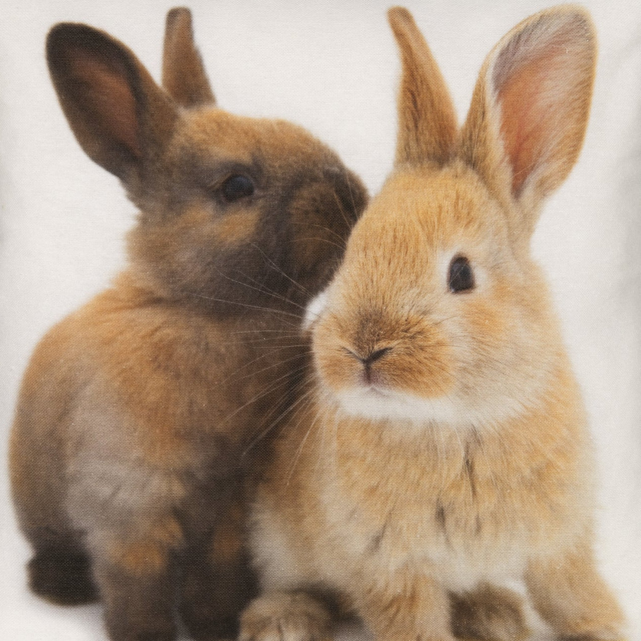 Kissenhülle mit zwei niedlichen Hasenfreunden - Bunny Buddies 45x45 cm