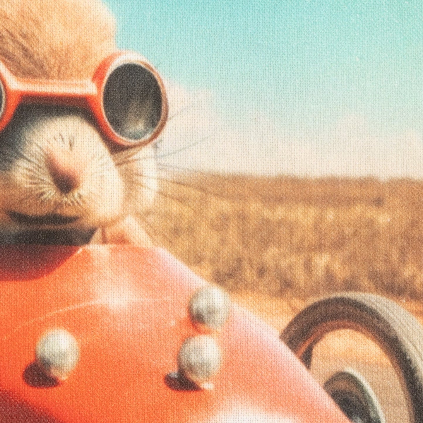 Kissenhülle mit Hase im Rennauto - Racer Rabbit 40x60 cm