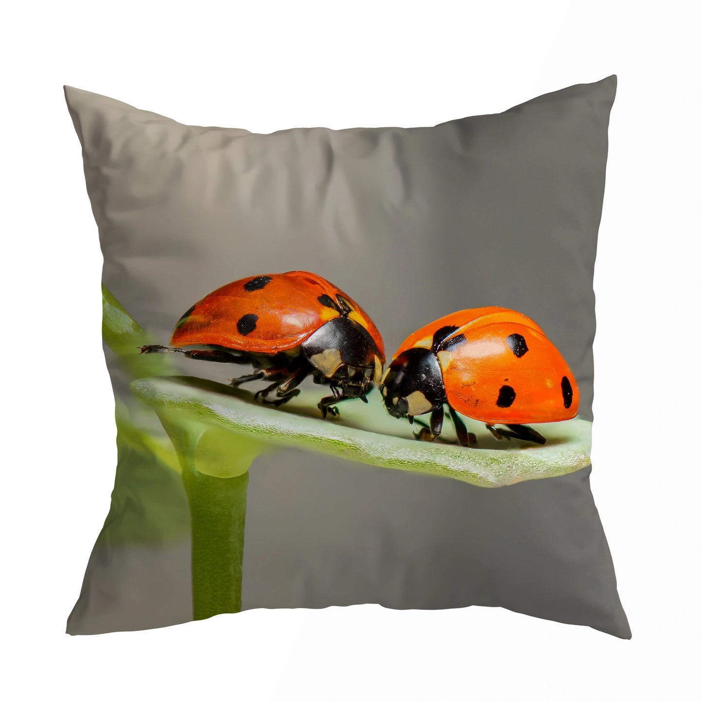 Kissenhülle Glückskäfer Liebe - Ladybug Couple 45x45 cm