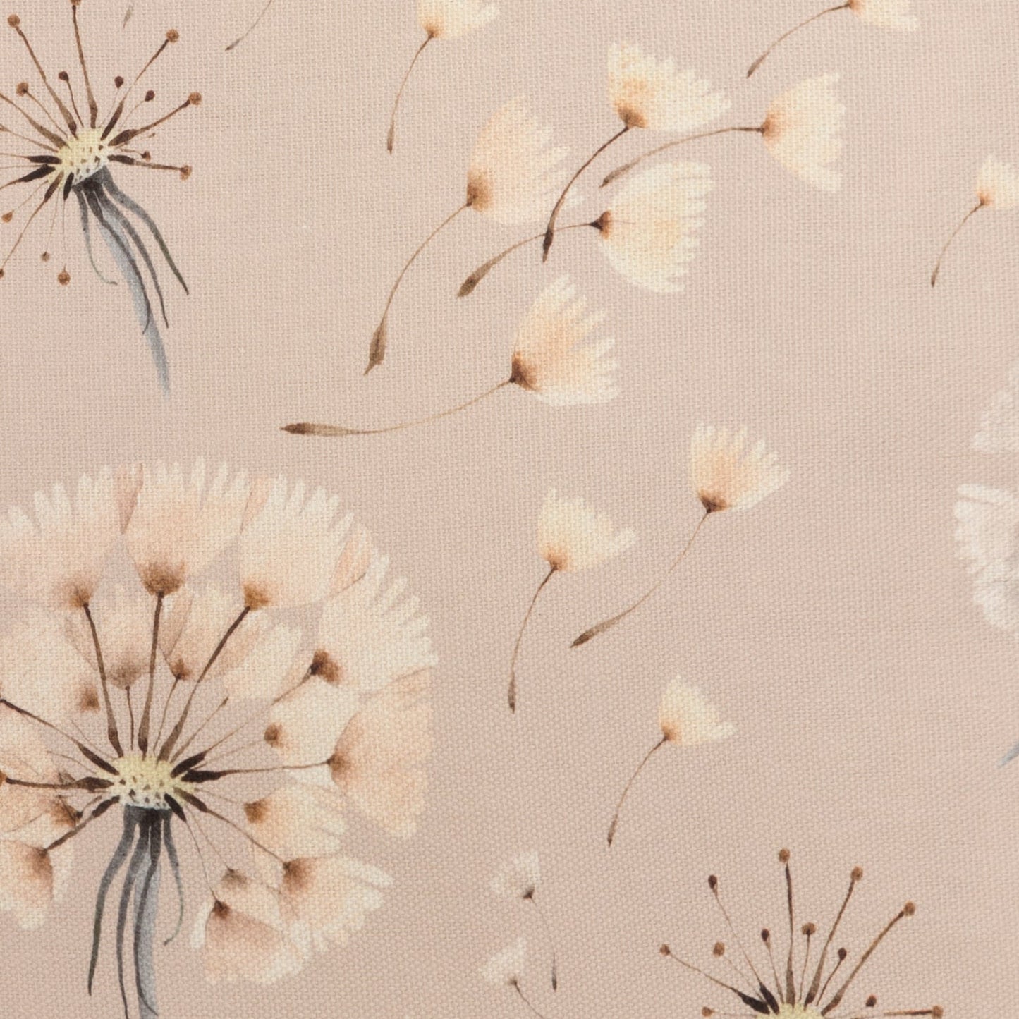 Kissenhülle Pusten und Wünschen - Daisy Flower 50x50 cm