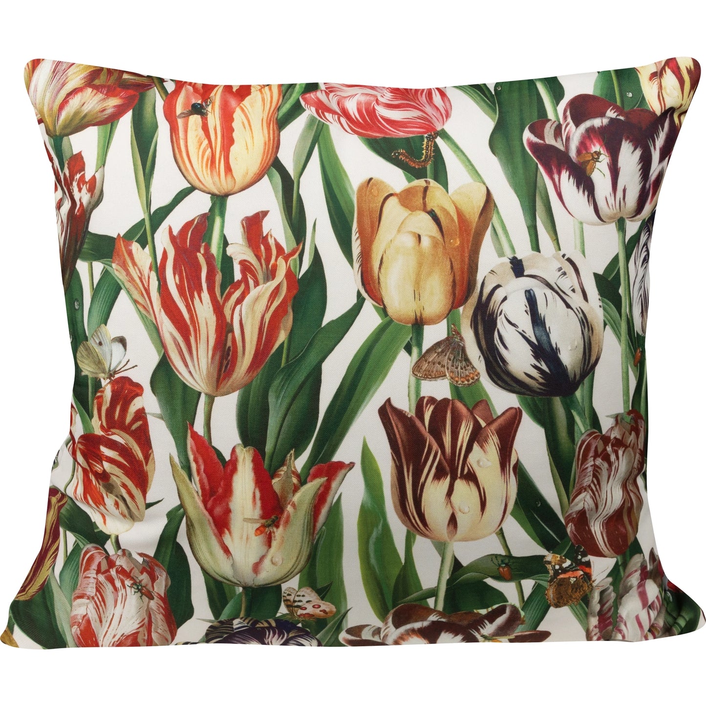 Kissenhülle Tulpenpracht - Lotta Tulip 50x50 cm