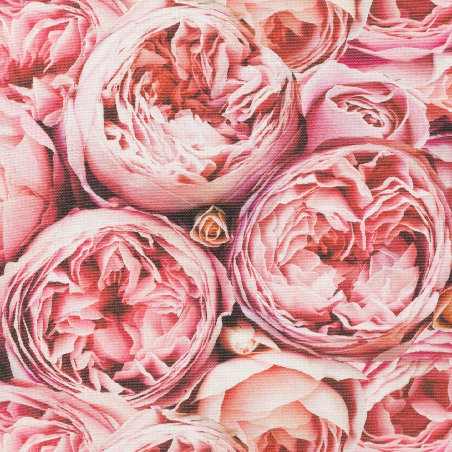 Präzisions-Druck Mitteldecke Rosenfreude 85x85 cm