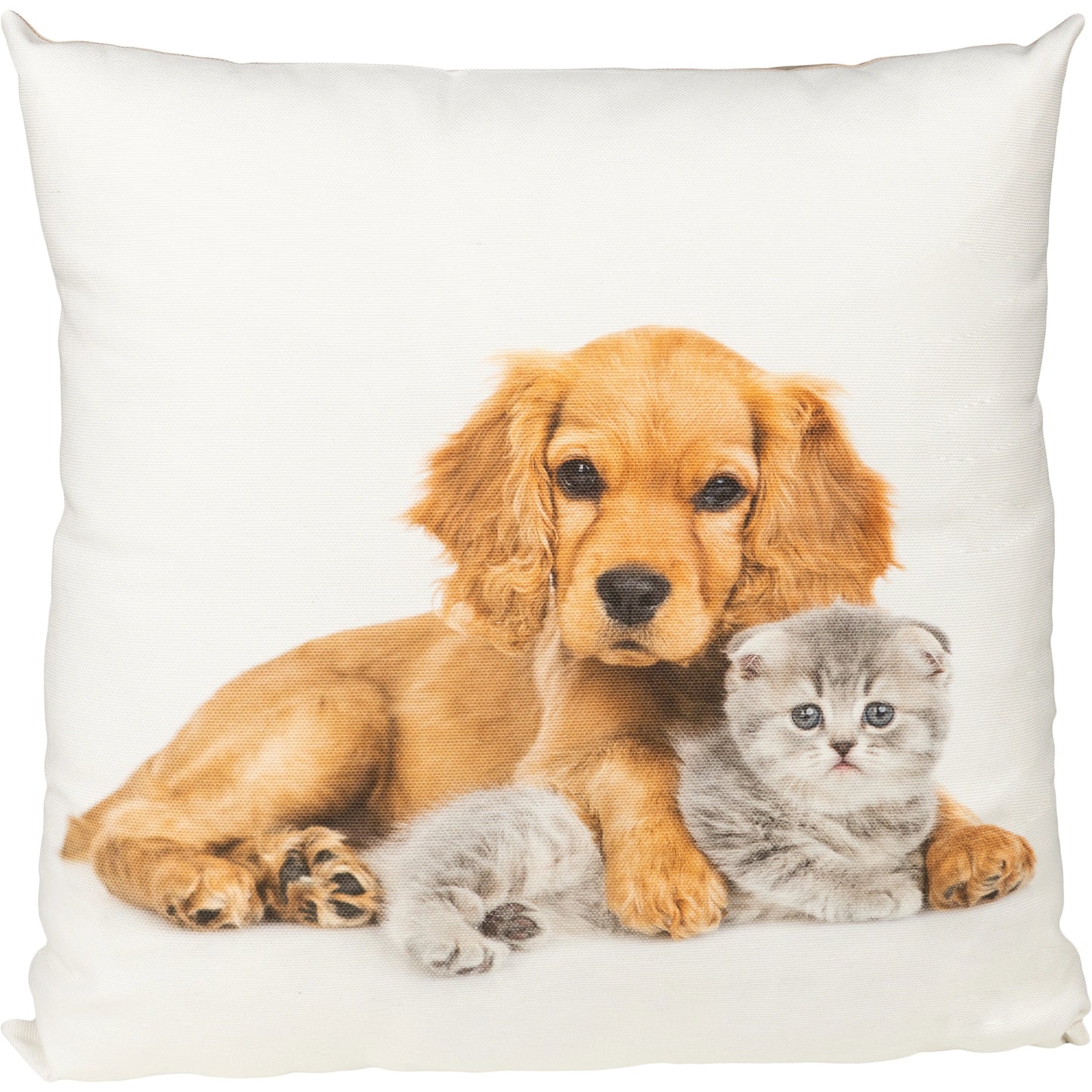 Kissenhülle Pfotenfreude - Cuddle Friends 45x45 cm